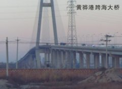 好色先生黄版下载案例